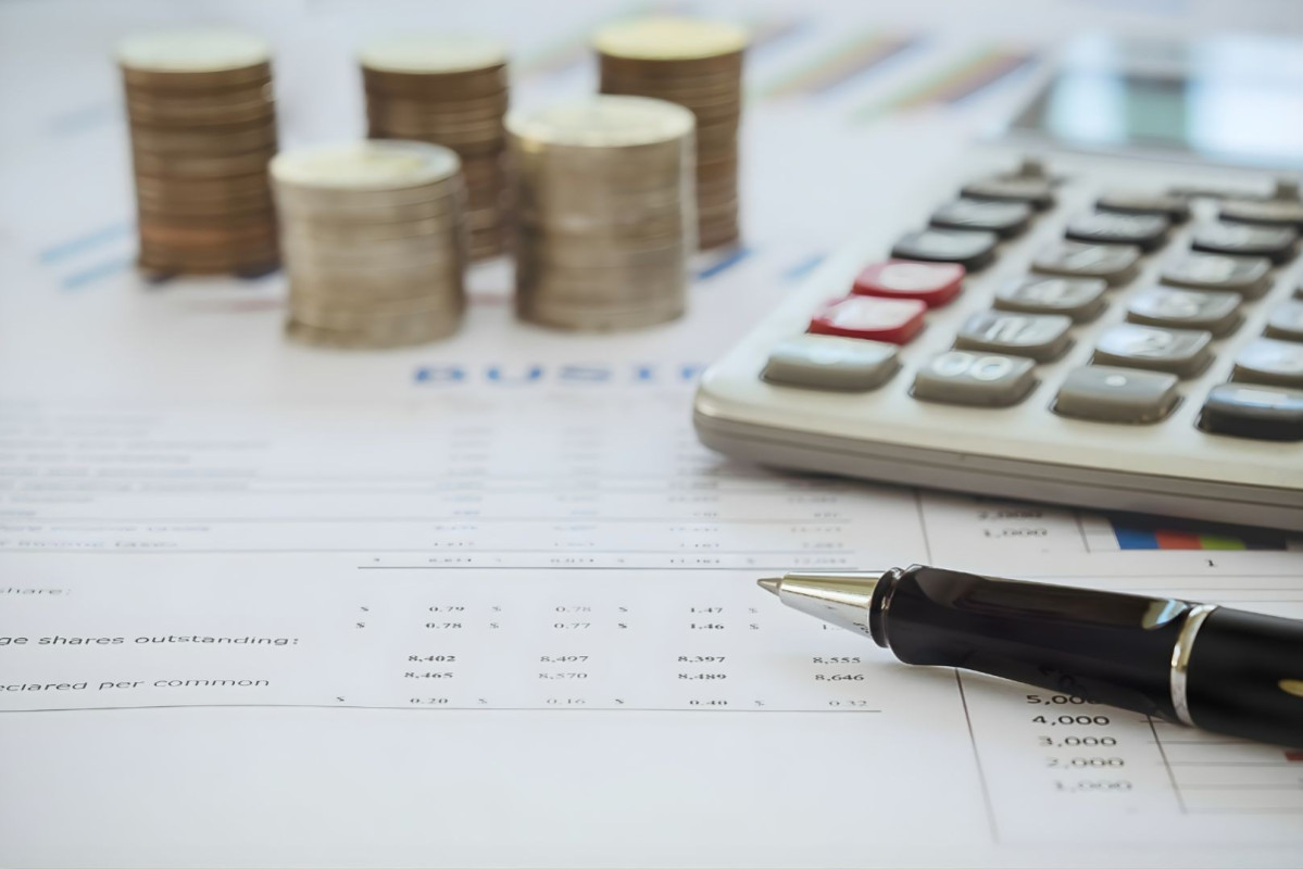 Financial Service Provider (FSPs)